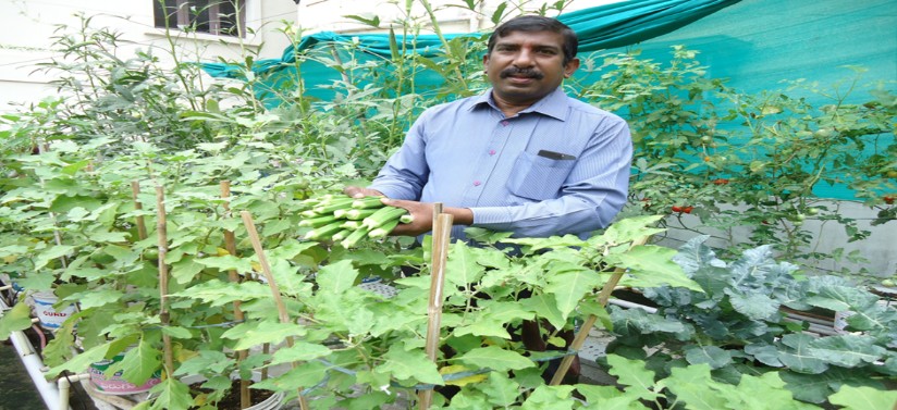 Grovrite rooftop garden