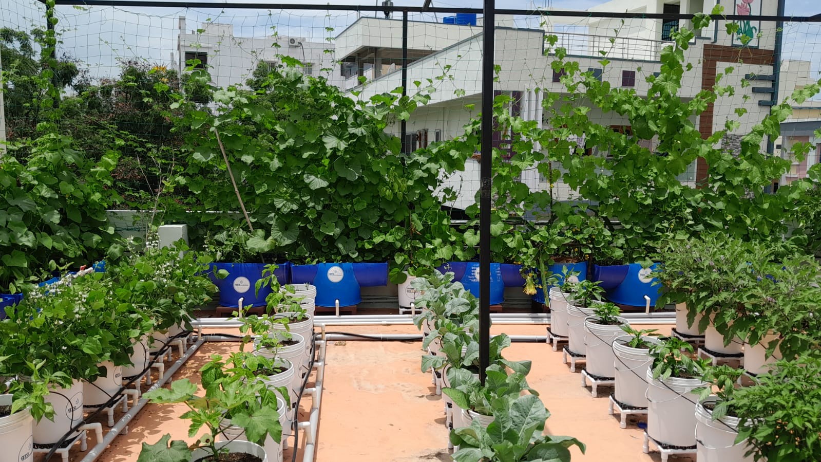 Green roof accessories